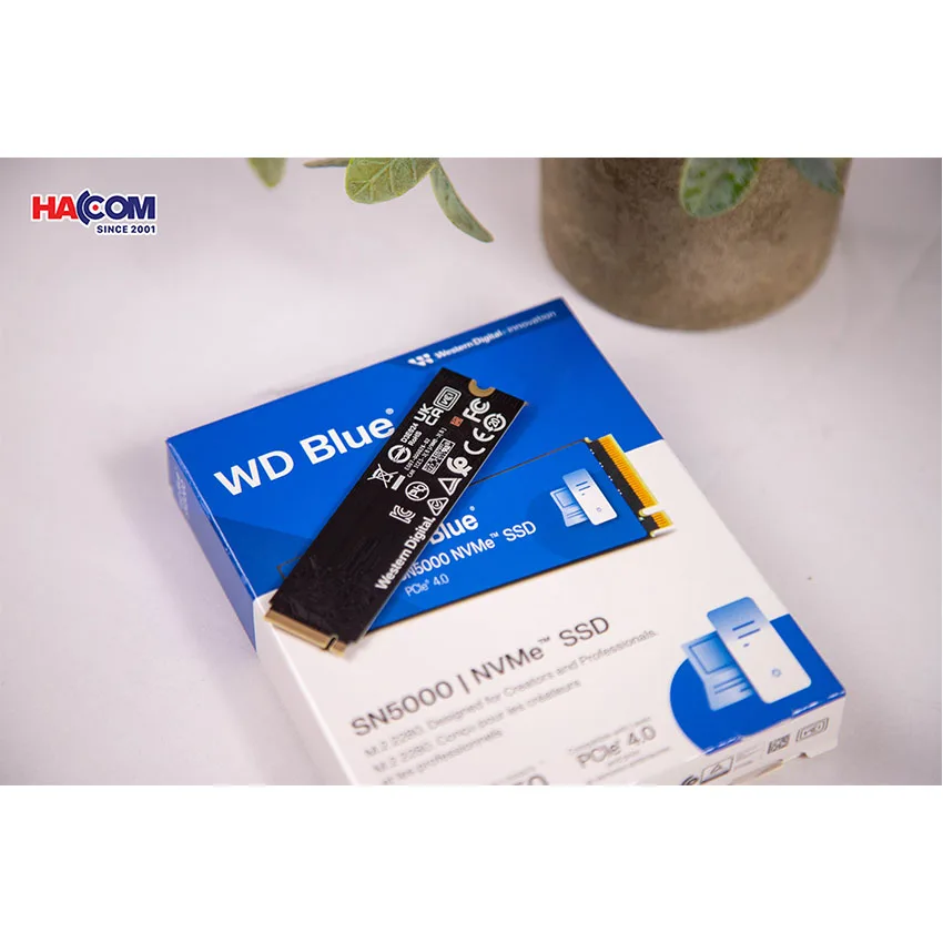 Ổ Cứng SSD WD SN5000 Blue 1TB – M.2 2280 PCIe Gen4 x4 (Đọc 5150MB/s – Ghi 4850MB/s) – (WDS100T4B0E)