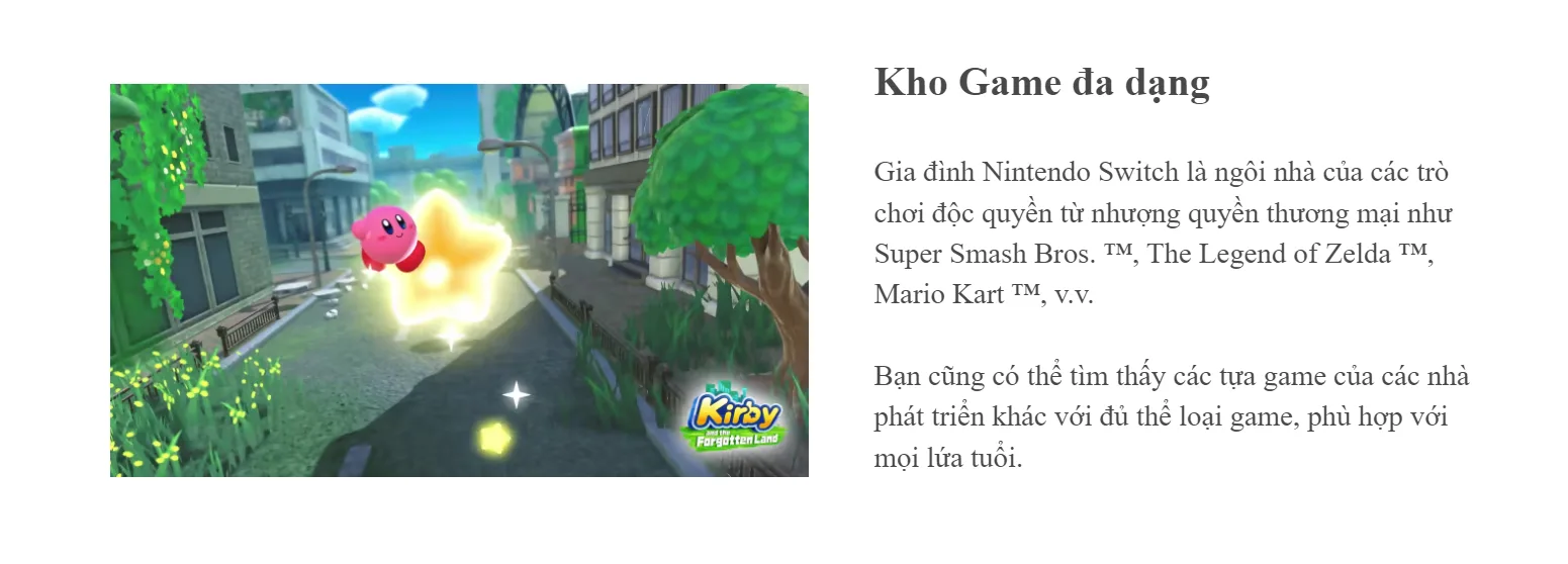 Máy chơi game Nintendo Switch Lite - Gray - Màu ghi 6